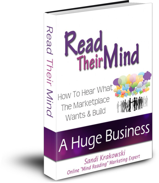 sandiebookcoverdraft3 The Chicken Or The Egg Of A Successful Online Business