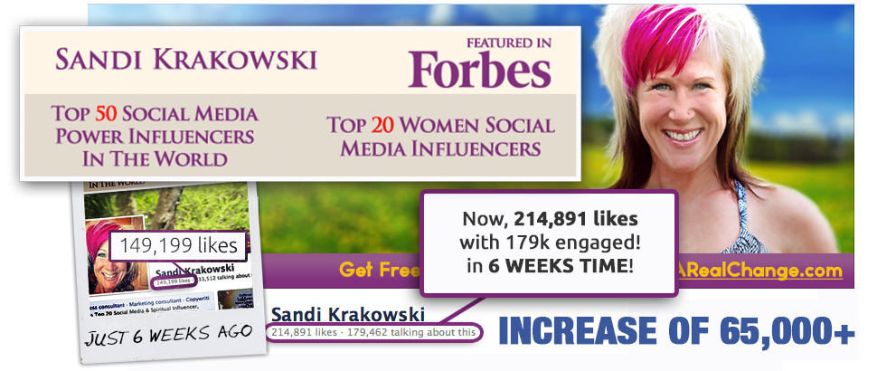 Header Sandi Krakowski Business Consultant and Trainer | A Real Change